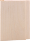 Aspen Panel